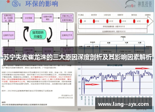 苏宁失去崔龙洙的三大原因深度剖析及其影响因素解析