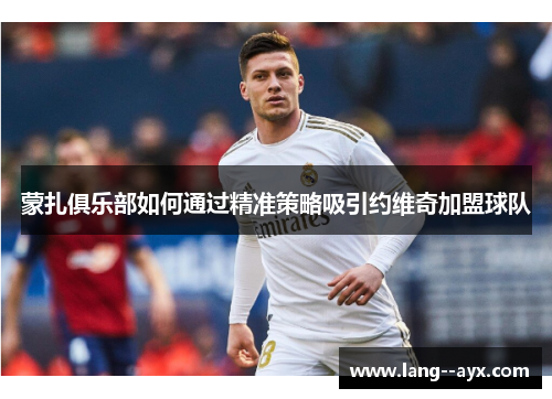 蒙扎俱乐部如何通过精准策略吸引约维奇加盟球队