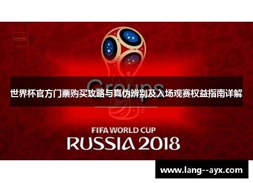 世界杯官方门票购买攻略与真伪辨别及入场观赛权益指南详解