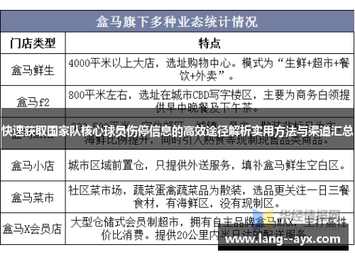 快速获取国家队核心球员伤停信息的高效途径解析实用方法与渠道汇总 快速获取国家队核心球员伤停信息的高效途径解析实用方法与渠道汇总